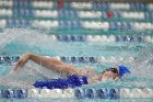 Swimming & Diving vs Babson  Swimming & Diving vs Babson College. - Photo by Keith Nordstrom : Wheaton, Swimming